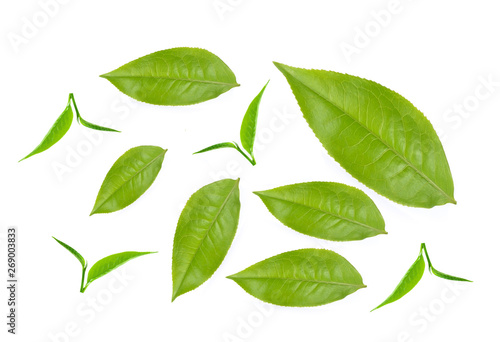 collection tea leaves on white background