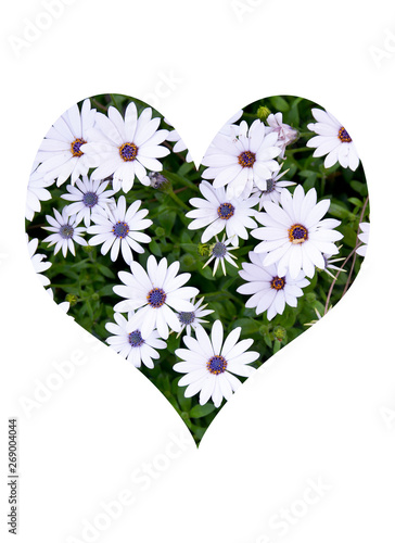 heart of flowers isolated on white background