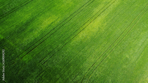 aerial view of grass field. natural green spring summer background. drone shot. Farmland from above