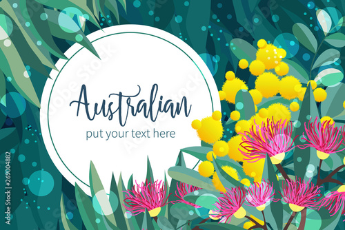 Tropical austalia design vector leaves and flowers