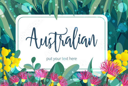 Tropical austalia design vector leaves and flowers