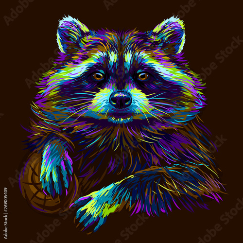Raccoon. Abstract graphic multi-colored portrait of a raccoon on a dark brown background.