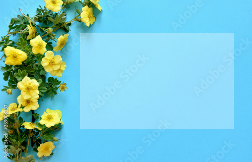 blue background with flowers