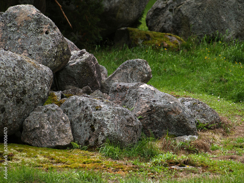 pile of rocks in the forest