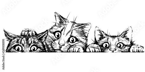 Wall sticker. Graphic, black and white hand-drawn sketch depicting three cute cats looking at a horizontal surface.