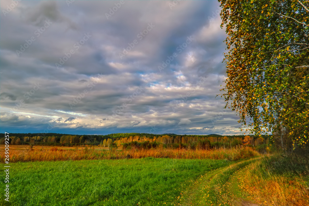 Sunset at the forest edge. Autumn landscape.