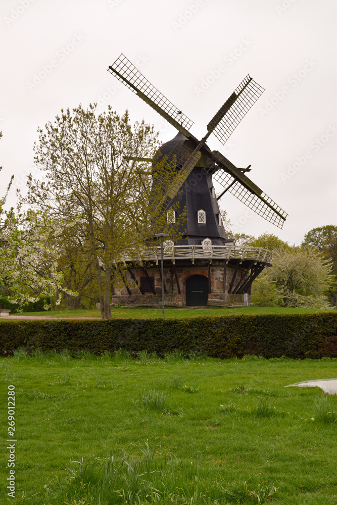 dutch windmill in holland