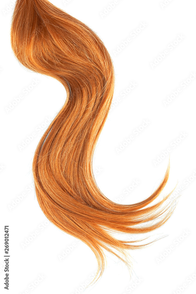 Red hair isolated on white background. Long wavy ponytail