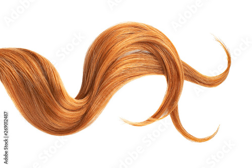 Photography Red hair isolated on white background. Long wavy ponytail