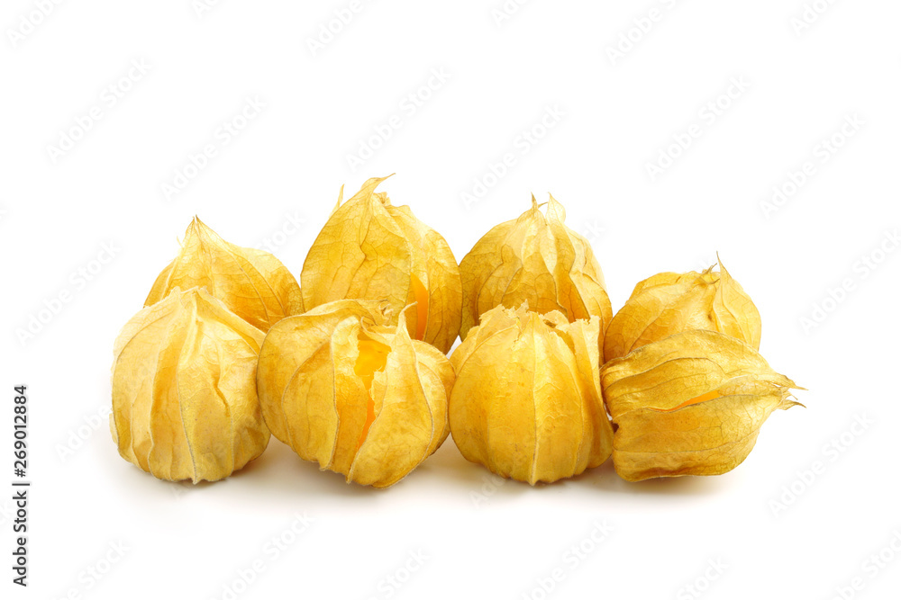 Cape gooseberry or Physalis minima Linn isolated on white background Cape gooseberry or Physalis minima Linn isolated on white background