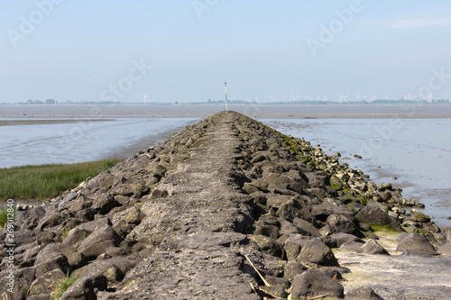 Buhne am Ufer der Elbe