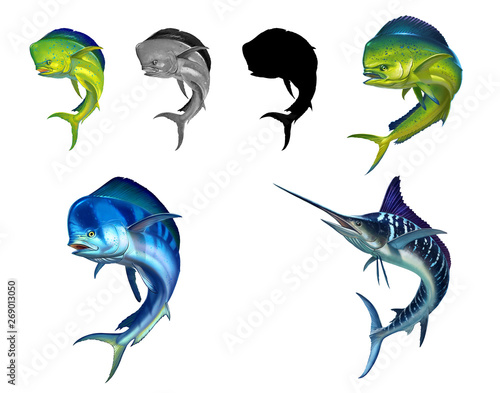 Canvas Print Mahi mahi or dolphin fish on white