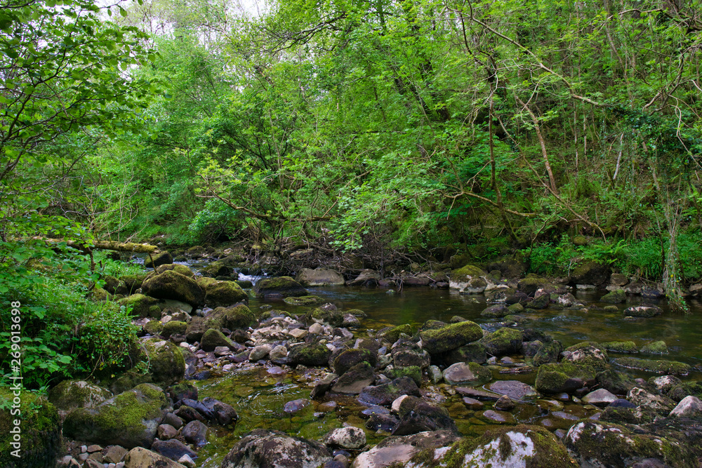 Obraz premium MARBLE ARCH NATIONAL NATURE RESERVE ,CLADAGH GLEN,IRELAND