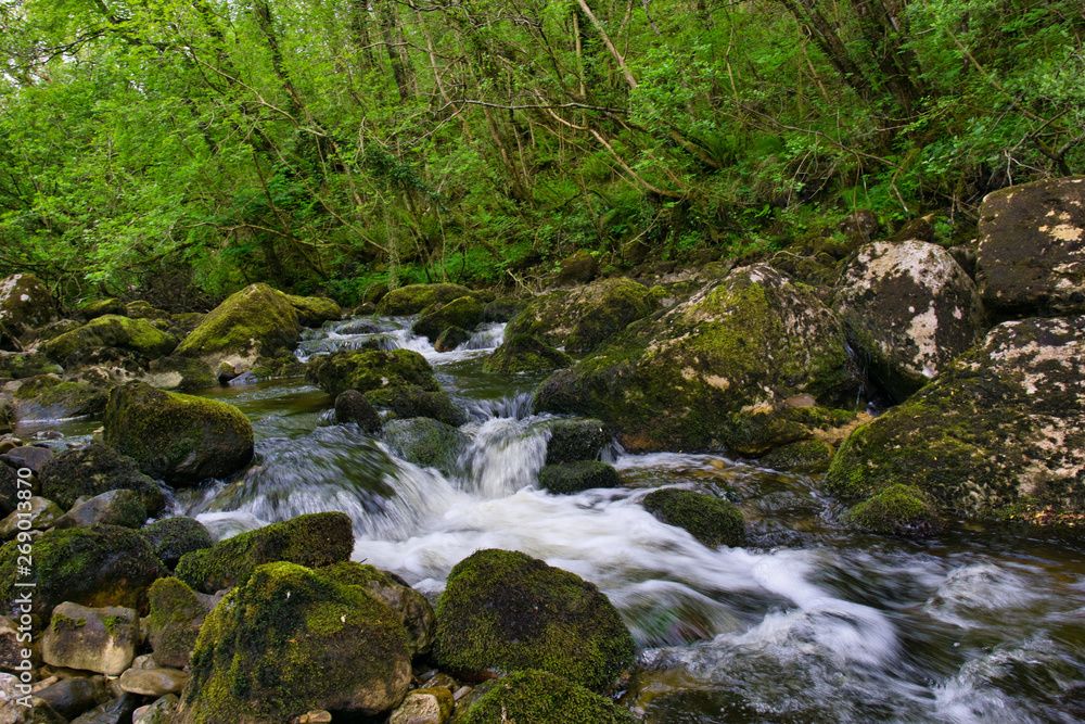 MARBLE ARCH NATIONAL NATURE RESERVE ,CLADAGH GLEN,IRELAND