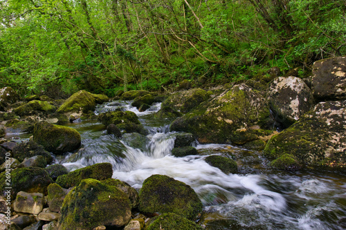 MARBLE ARCH NATIONAL NATURE RESERVE ,CLADAGH GLEN,IRELAND