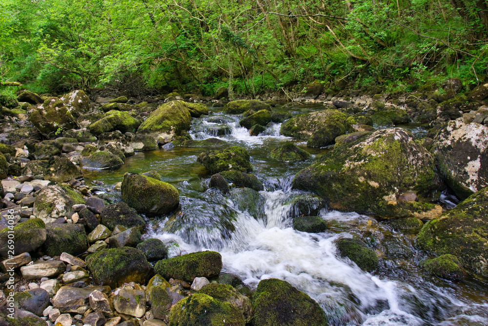 MARBLE ARCH NATIONAL NATURE RESERVE ,CLADAGH GLEN,IRELAND