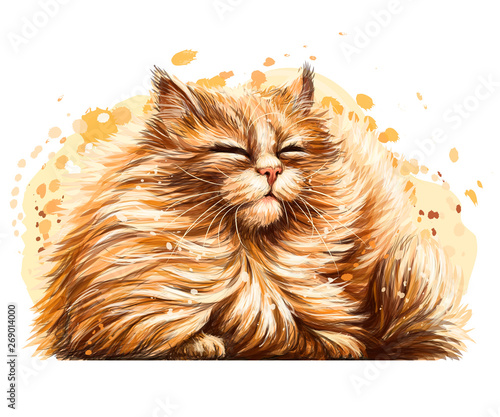 Wall sticker. The color, graphic, artistic drawing of a cute fluffy cat is squinting pretty in the sun on a white background with a spray of watercolor.