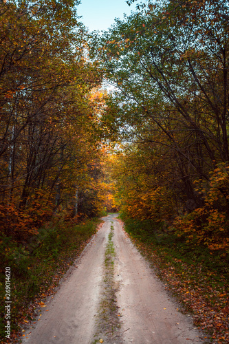 The dirt road in the wild remote forest, Mari El, Russia © Evgesha