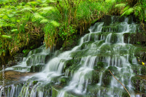 MARBLE ARCH NATIONAL NATURE RESERVE ,CLADAGH GLEN,IRELAND