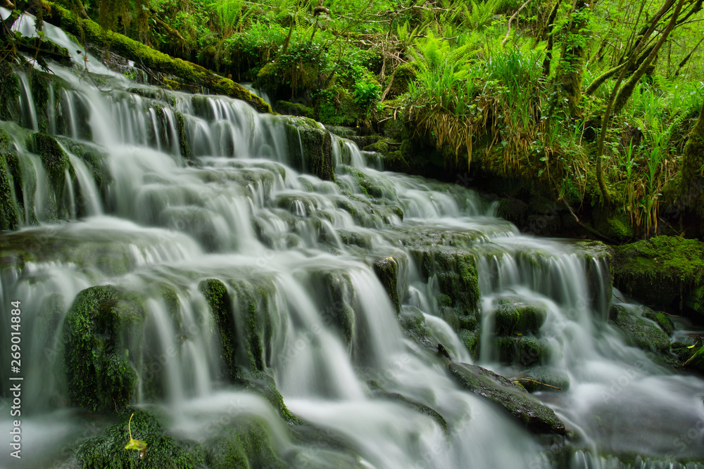 MARBLE ARCH NATIONAL NATURE RESERVE ,CLADAGH GLEN,IRELAND