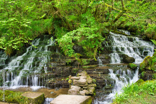 MARBLE ARCH NATIONAL NATURE RESERVE  CLADAGH GLEN IRELAND