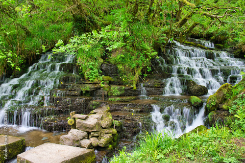 MARBLE ARCH NATIONAL NATURE RESERVE  CLADAGH GLEN IRELAND