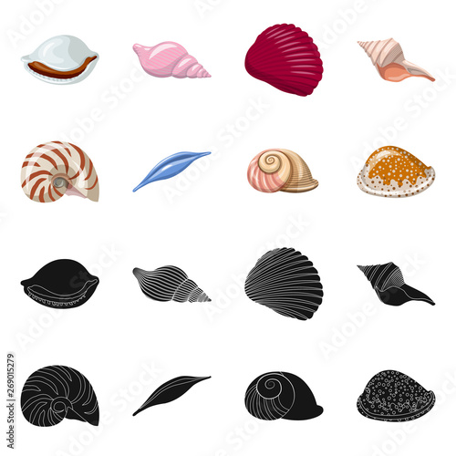 Vector illustration of animal and decoration symbol. Collection of animal and ocean stock symbol for web.