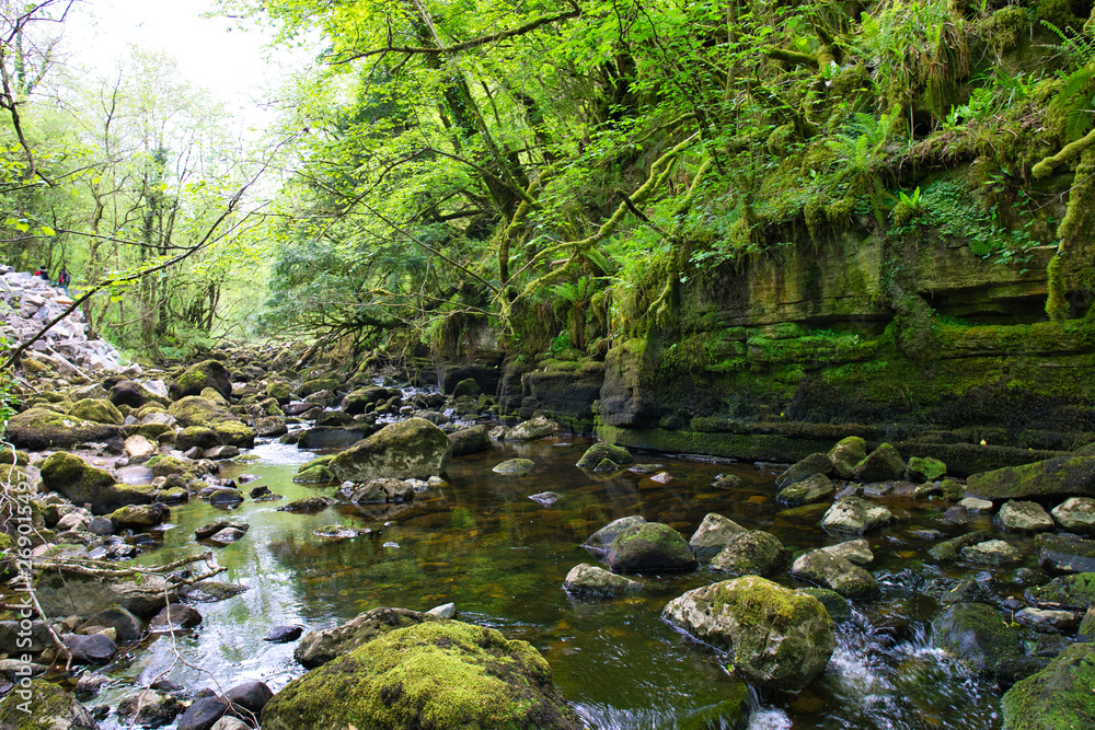 MARBLE ARCH NATIONAL NATURE RESERVE ,CLADAGH GLEN,IRELAND MARBLE ARCH NATIONAL NATURE RESERVE ,CLADAGH GLEN,IRELAND