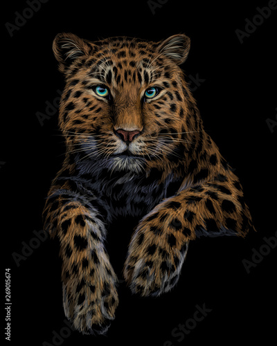 Color  graphic  artistic portrait of a leopard on a black background.