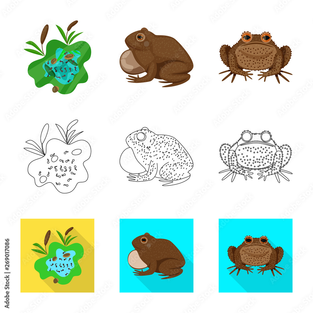 Vector illustration of wildlife and bog icon. Collection of wildlife and reptile vector icon for stock. Vector illustration of wildlife and bog icon. Collection of wildlife and reptile vector icon for stock.