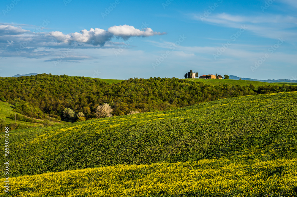 Tuscany spring, rolling hills and windmill on sunset. Rural landscape. Green fields. Italy, Europe