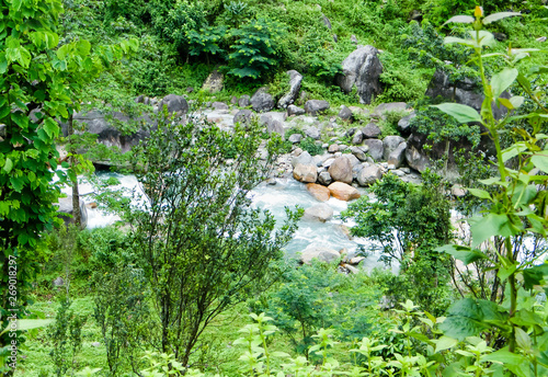 Main tributary of river Teesta, the Rangit river flowing through a dense pristine jungle in northeast of Rangpo Chu at Rangpo settlement just before the Teesta bridge at entrance to East Sikkim.