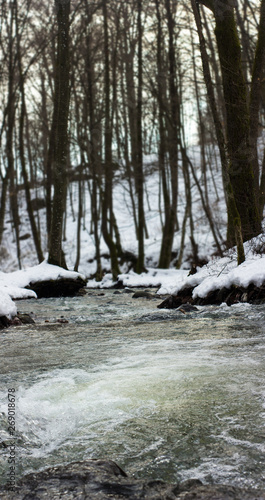 Blue-green water. White snow. Winter. Dark forest on background. Basic waves. Nature. Beautiful landscape. Small river. Blue sky. Cold weather. Park near with river.