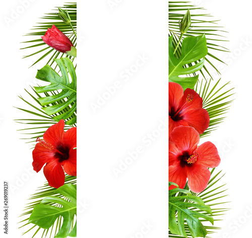 Hibiscus flowers and palm l...