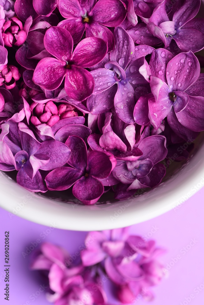 Cup Tea Branches Spring Flowers Bouquet Blooming Lilac Cup Tea Branches Spring Flowers Bouquet Blooming Lilac