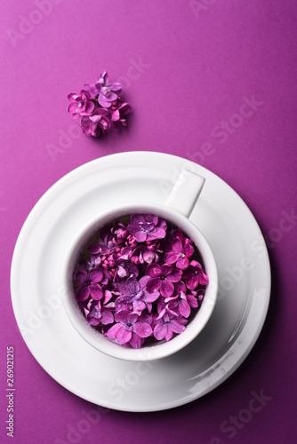 Cup Tea Branches Spring Flowers Bouquet Blooming Lilac