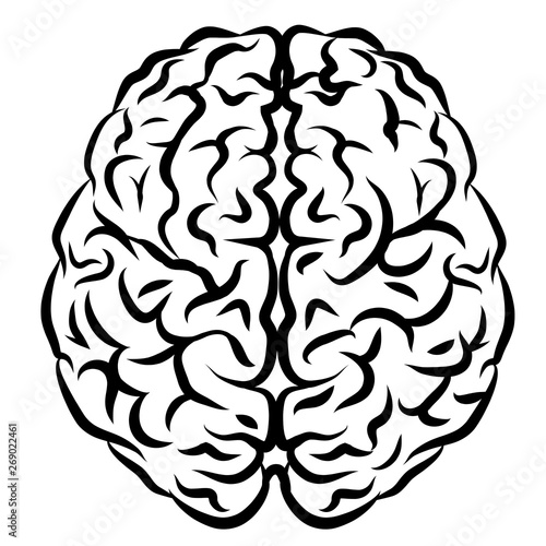 The human brain. Graphic, black and white drawing of a brain view from above on a white background.