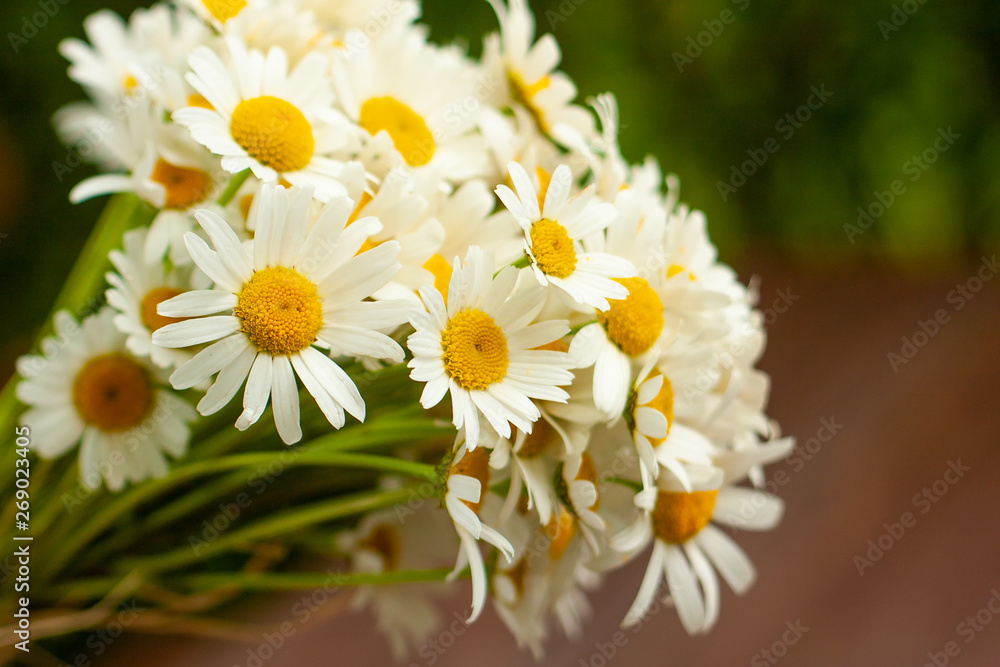 Φωτογραφία A white and yellow bouquet of freshly picked wild daisy flowers from a natural meadow and garden tied with a natural decorative raffia string
