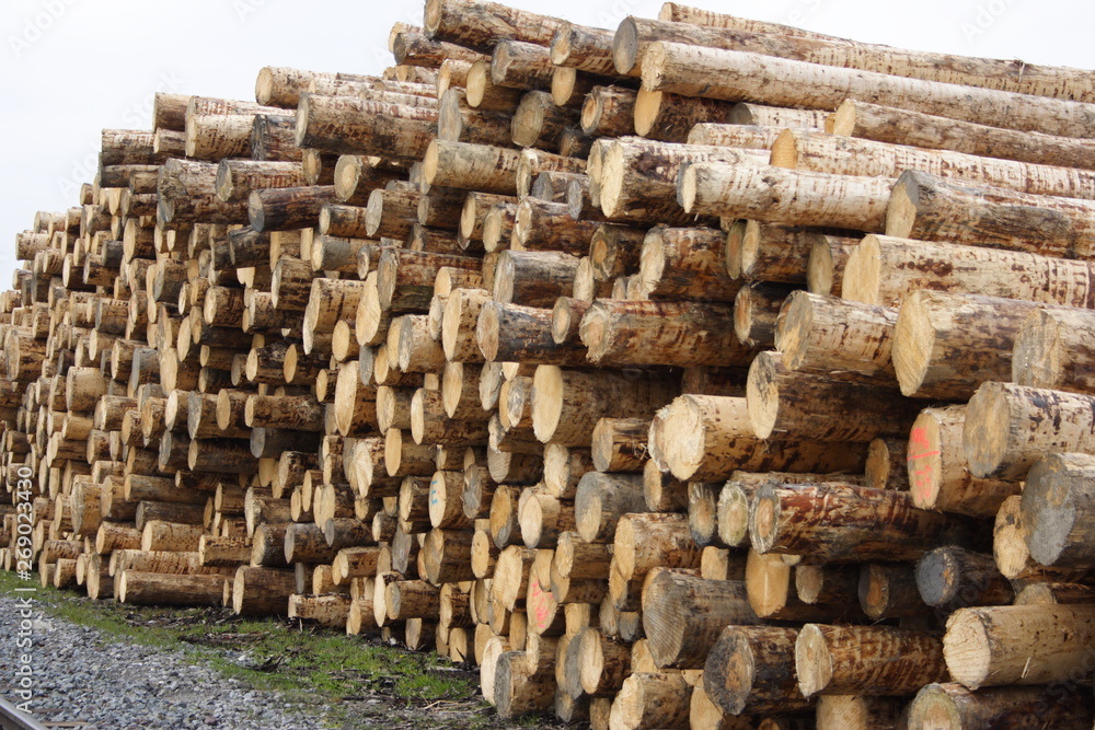 Holzstapel Holzstapel