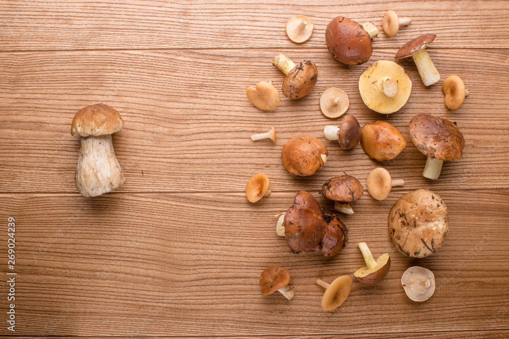 mushrooms on the table. mushrooms closeup mushrooms on the table. mushrooms closeup