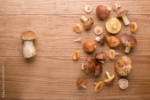 mushrooms on the table. mushrooms closeup