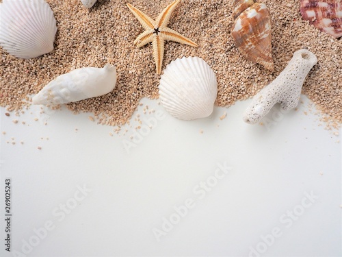 夏のビーチのイメージ（砂浜、貝殻、ヒトデ、サンゴ）