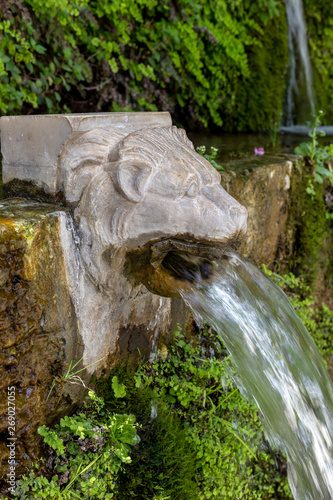 The Springs of Dionysus in the form of a lion's head on island Andros (Greece, Cyclades) in the Menites village. photo