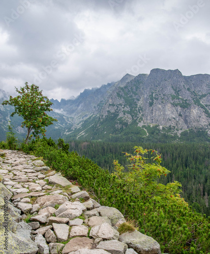 Fototapeta Naklejka Na Ścianę i Meble -  Beautiful High Tatras in Slovakia in Europe