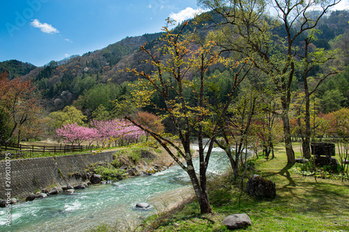 View of the spring Hakuba village ohira Park in Japan. photo