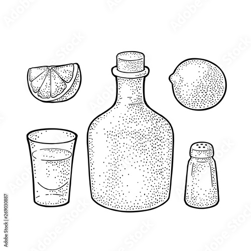 Glass and botlle of tequila. Cactus, salt, lime