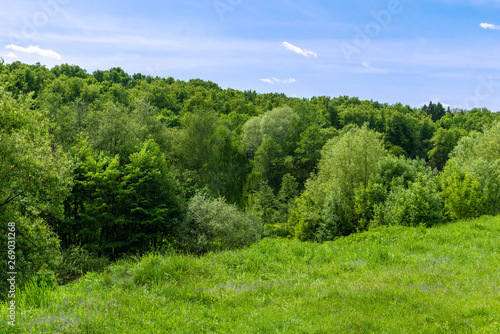 European summer landscape - forest in the hills on a sunny day © Stanislav Ostranitsa