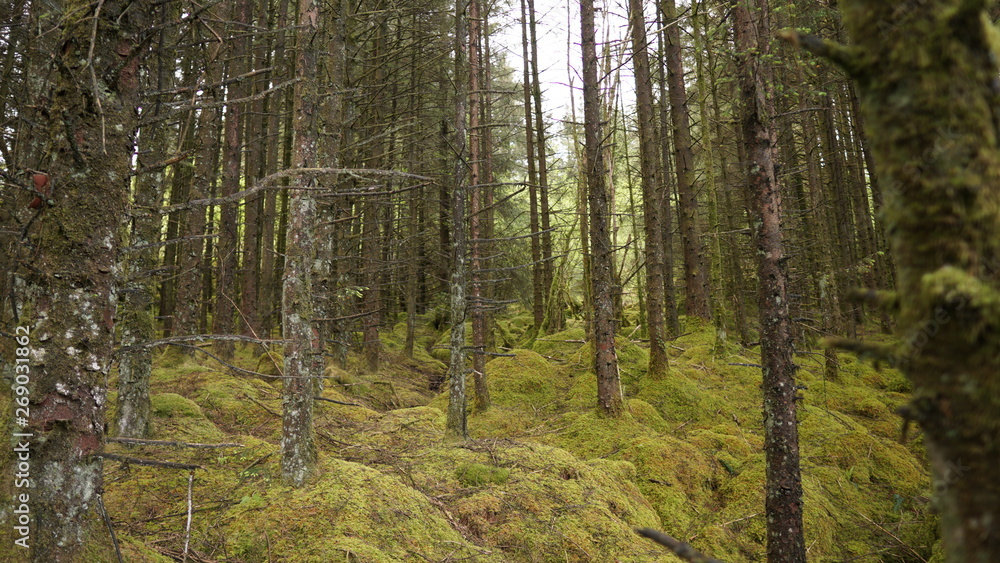 Marble Arch Caves Global Geopark,Ireland,Fermanagh