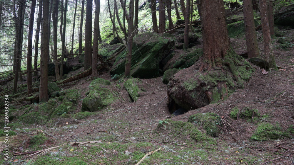 Marble Arch Caves Global Geopark,Ireland,Fermanagh Marble Arch Caves Global Geopark,Ireland,Fermanagh