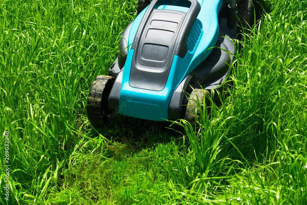 Fototapeta premium Lawn mower cutting green grass. Work in the garden
